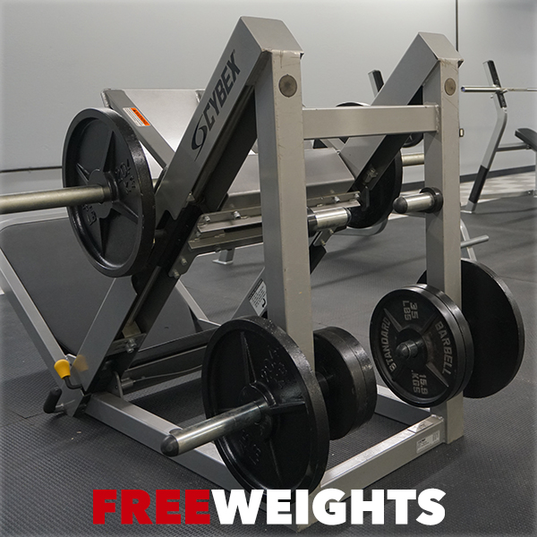 Plate Load Machines and Free Weights Plate Load Machines and Free Weights